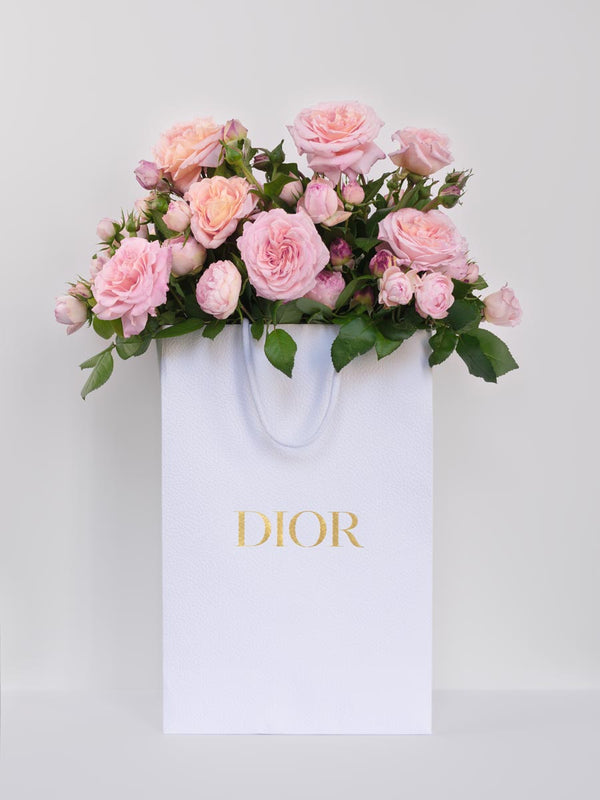 Retail Therapy - Dior