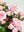 Retail Therapy - Dior, Celebration, 2024 - unframed